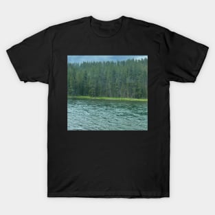 Yellowstone National Park! T-Shirt